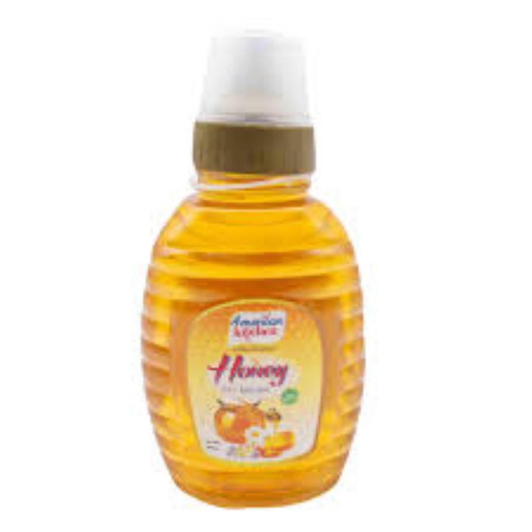 AMERICAN KITCHEN HONEY SQZ SHAPE PET JAR 500G